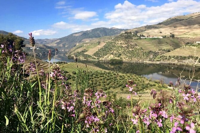 Douro Valley and Régua Panoramic Cruise with Lunch from Porto - What lunch is like on the boat