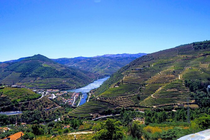 Douro Valley and Régua Panoramic Cruise with Lunch from Porto - The guide and communication: the weak point