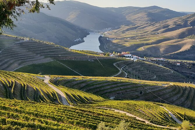 Douro Valley Best-Of Private Tour – Fully Customizable Experience - Provesende, lunch among old Douro houses