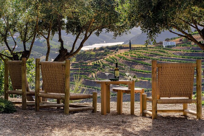 Douro Valley Best-Of Private Tour – Fully Customizable Experience - Sabrosa and the final wine stop