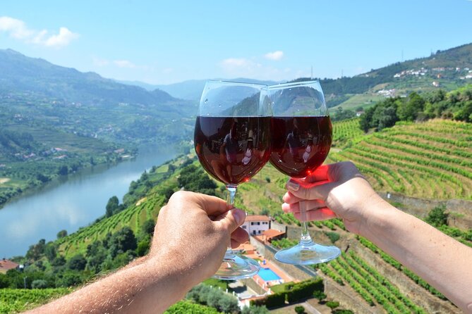 Douro Valley Delights Wine Tasting and Scenic Vistas - From Porto to Portugal’s Great Wine Valley