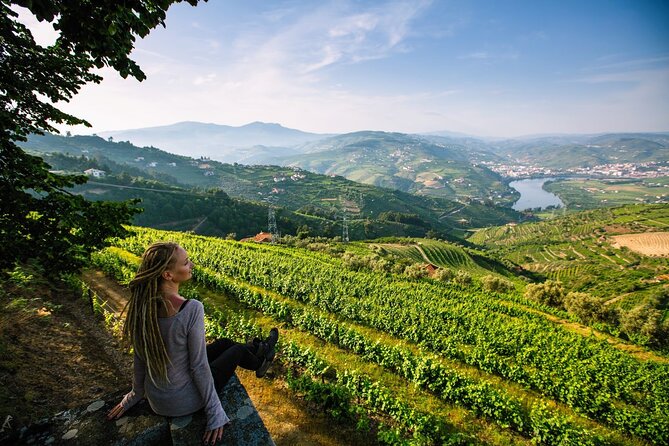 Douro Valley Delights Wine Tasting and Scenic Vistas - Peso da Régua, the Valley’s Wine-Making Center