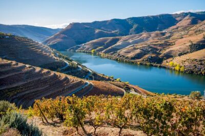 Douro Valley Delights Wine Tasting and Scenic Vistas