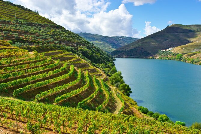 Douro Valley Delights Wine Tasting and Scenic Vistas - Quinta do Beijo, With a Family-Owned Feel