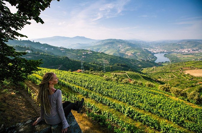 Douro Valley Delights Wine Tasting and Scenic Vistas - Why the Private Vehicle Matters