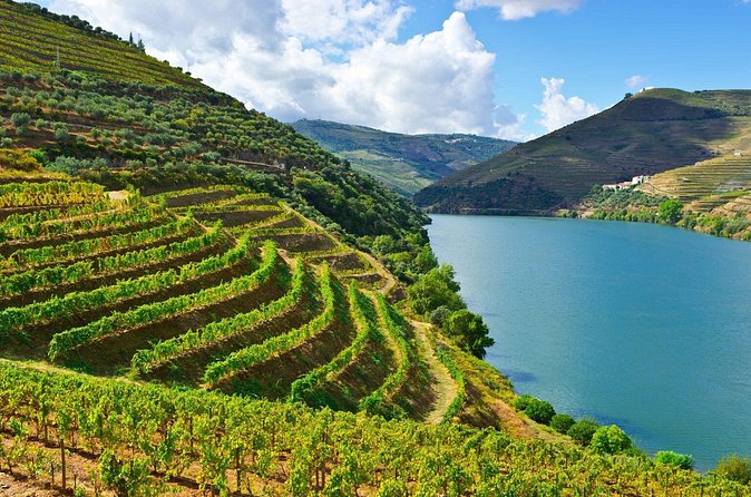 Douro Valley Delights Wine Tasting and Scenic Vistas - Is $688.09 a Fair Price?