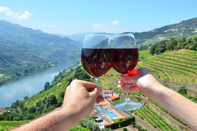 Douro Valley Delights Wine Tasting and Scenic Vistas - A Day That Depends on Good Weather