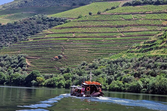 Douro Valley-Expert Guide-Boat-Lunch-Tastings-Offer wine bottle - Key points to know before booking