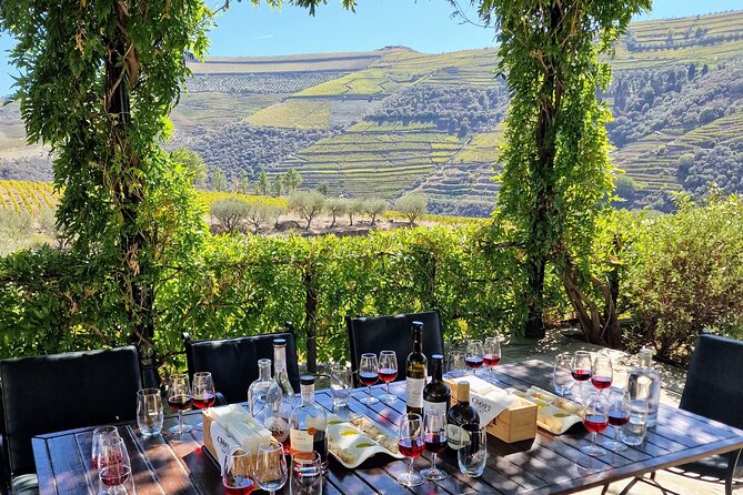 Douro Valley-Expert Guide-Boat-Lunch-Tastings-Offer wine bottle - Why this day works well for a first visit to the Douro