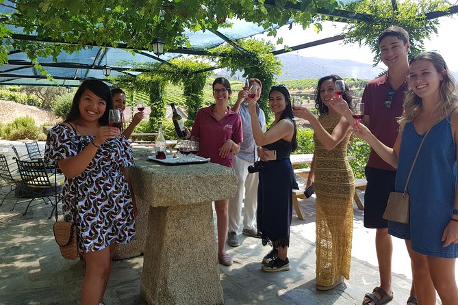Douro Valley for Wine Lovers with Visit to 4 Wineries and Lunch - Key points to know before you book