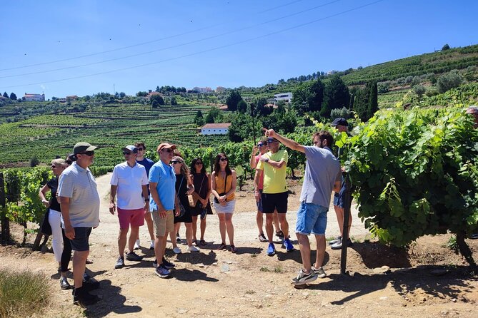 Douro Valley for Wine Lovers with Visit to 4 Wineries and Lunch - The first winery: start with port