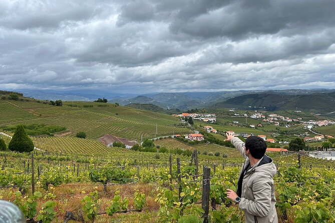 Douro Valley for Wine Lovers with Visit to 4 Wineries and Lunch - Olive oil and honey add welcome texture