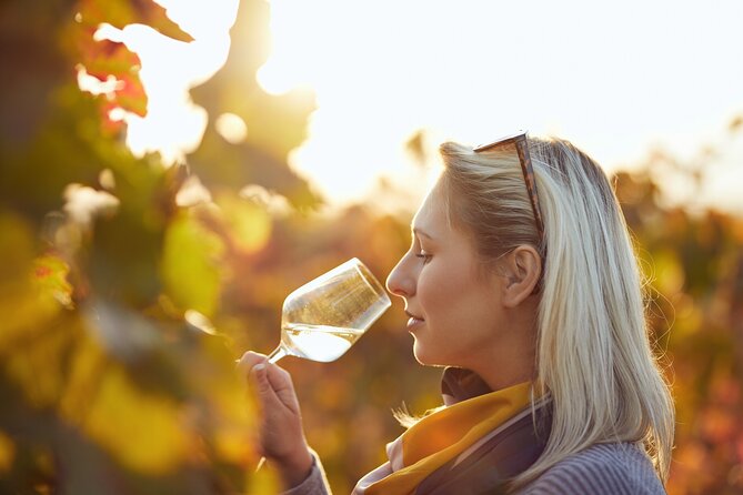 Douro Valley: Historical Sites, Wine Experience, Lunch & Cruise - One vineyard estate and three wines