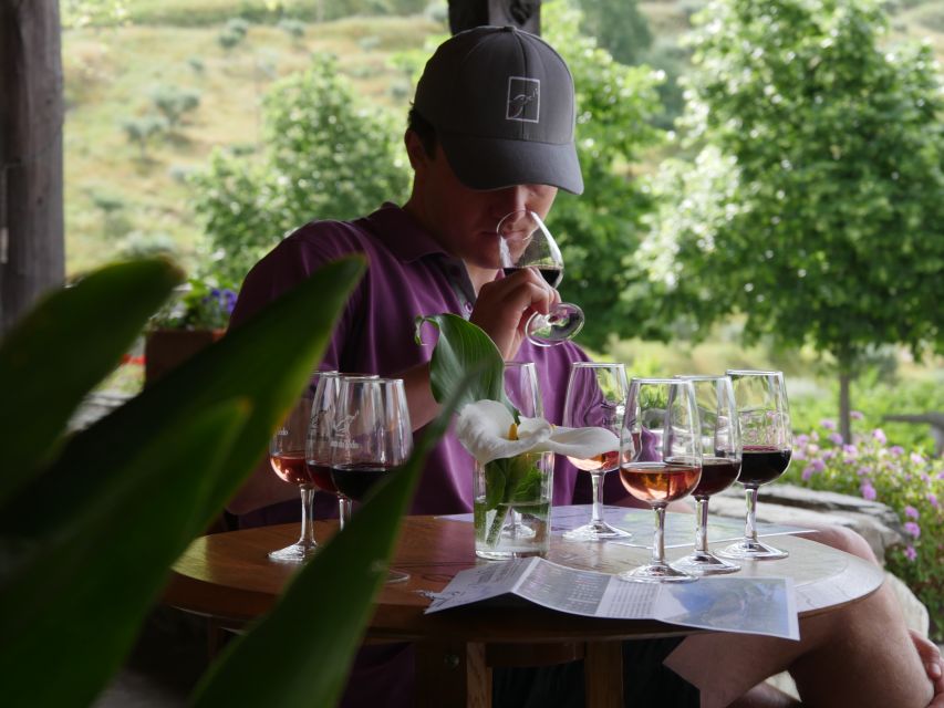 Douro Valley: Premium Port Tasting Winery Tour & River Views - A short, well-rounded introduction to the Douro Valley