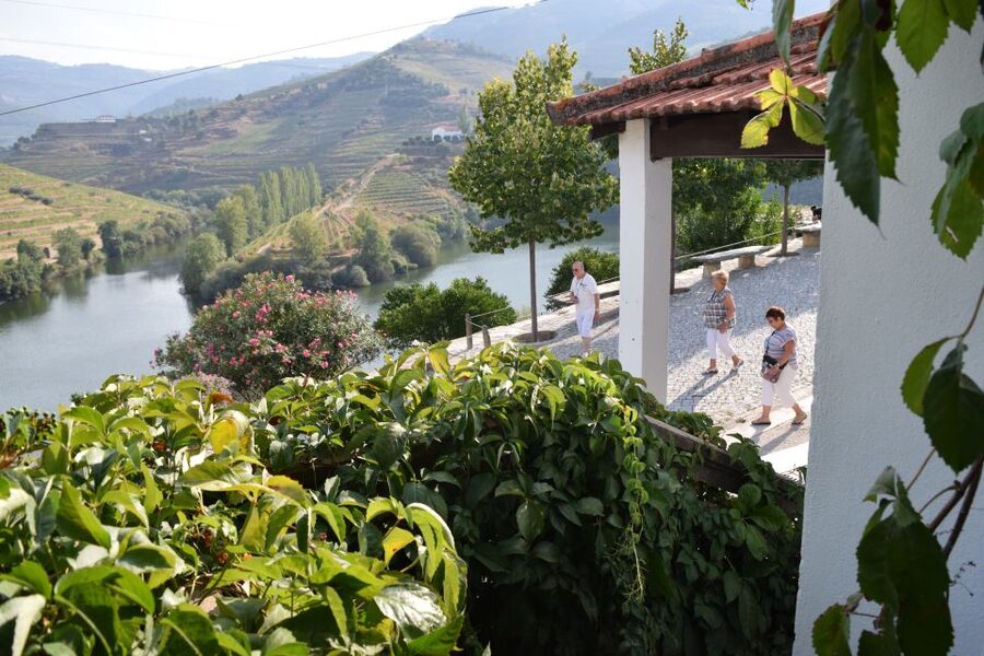 Douro Valley: Premium Port Tasting Winery Tour & River Views - Seeing the stone lagares and foot-treading tradition