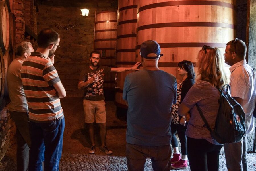 Douro Valley: Premium Port Tasting Winery Tour & River Views - Taking in the Douro River views