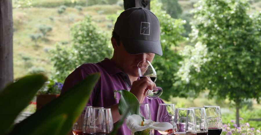 Douro Valley: Premium Port Tasting Winery Tour & River Views - Entering the 18th-century cellars