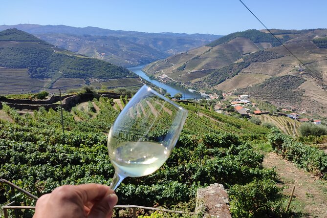 Douro Valley Premium Tours - Private Driver & Guide - Practical details that affect your decision
