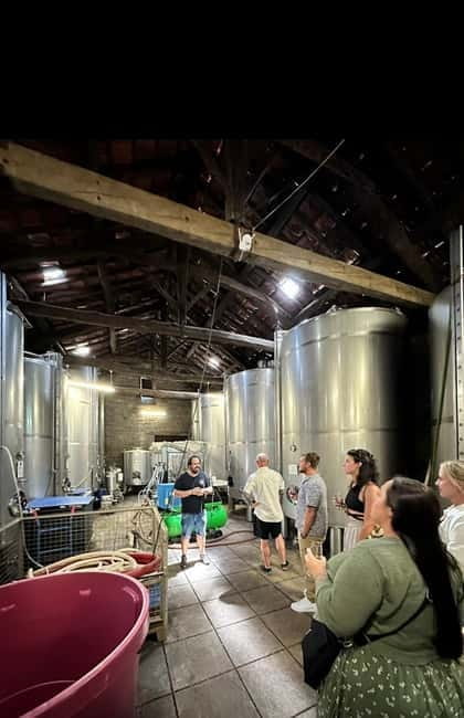 DOURO VALLEY: Premium Wine Tour, Winery Lunch & Private Boat - Practical details for a smoother day
