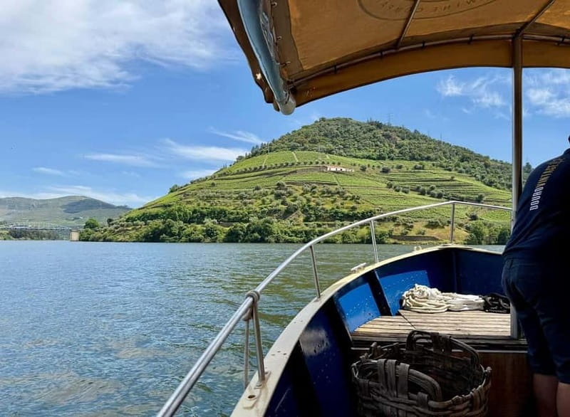 DOURO VALLEY: Premium Wine Tour, Winery Lunch & Private Boat - Viewpoints and the famous N222