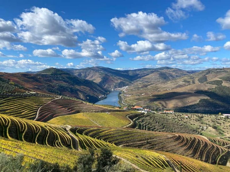 DOURO VALLEY: Premium Wine Tour, Winery Lunch & Private Boat - Ten tastings, not just ten versions of Port