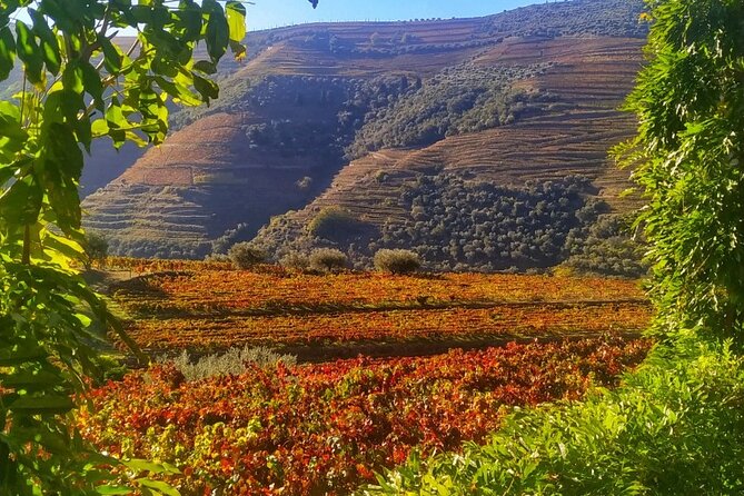 Douro Valley Prime Tour: Wine Tastings, Boat & Lunch from Porto - From Porto to Vinho Verde country