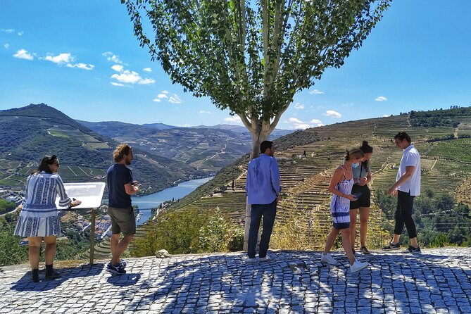 Douro Valley Prime Tour: Wine Tastings, Boat & Lunch from Porto - Price, comfort, and the real value