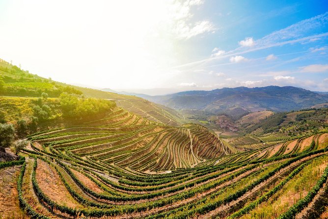 Douro Valley Private Full–Day Tour from Porto - Lunch beside the Douro