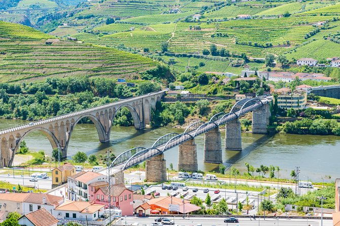 Douro Valley Private Full–Day Tour from Porto - Pinhão and one hour on the river