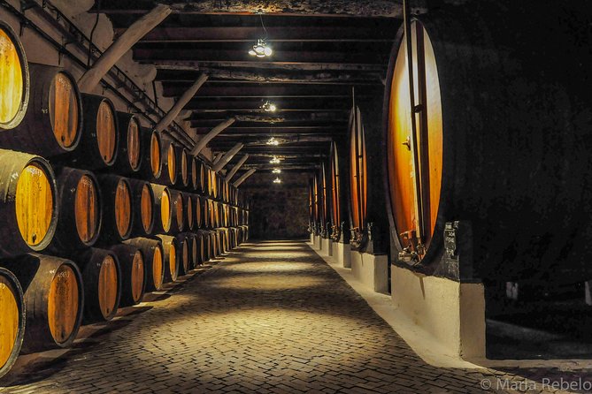 Douro Valley Private Full–Day Tour from Porto - Peso da Régua and the metal footbridge