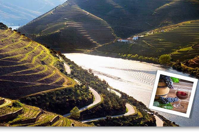 Douro Valley Private Premium Tour with Wine Tasting (1 to 4 people) - A comfortable start from Porto at 9 a.m.