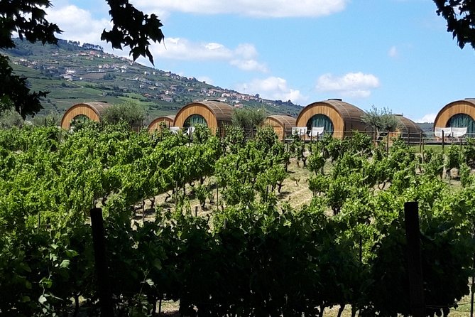 Douro Valley Private Premium Tour with Wine Tasting (1 to 4 people) - Pinhão and the traditional Rabelo boat