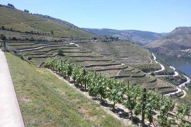 Douro Valley Private Premium Tour with Wine Tasting (1 to 4 people) - Weather, timing, and extra costs