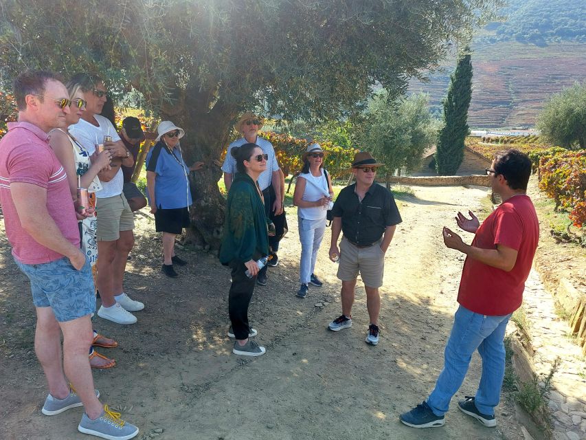 Douro Valley private tour & wine experience including lunch - Key points to know before booking