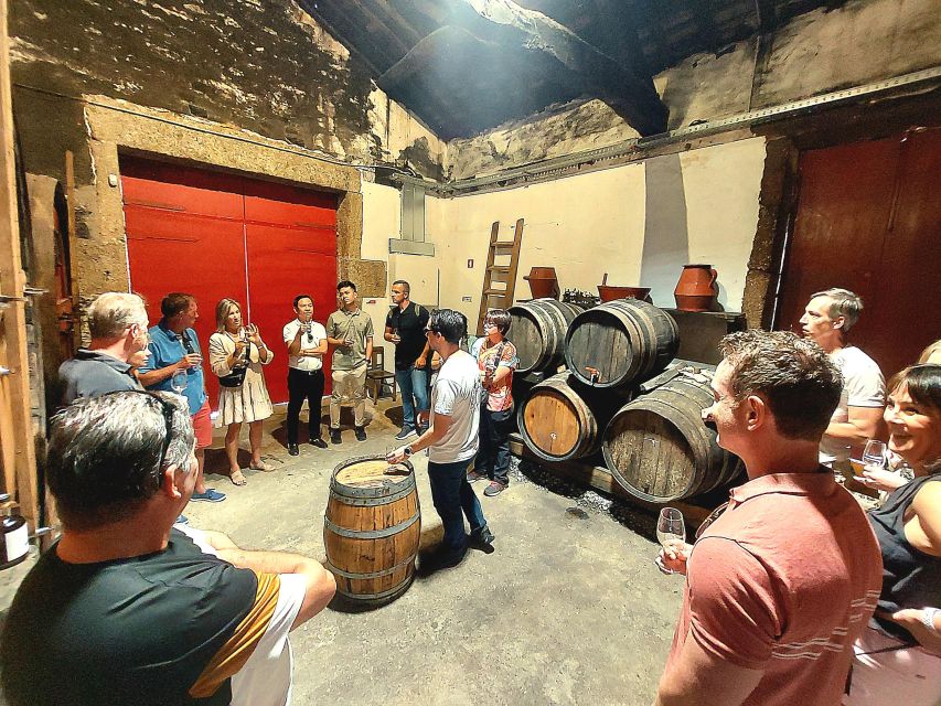 Douro Valley private tour & wine experience including lunch - Why this Douro Valley day trip works well