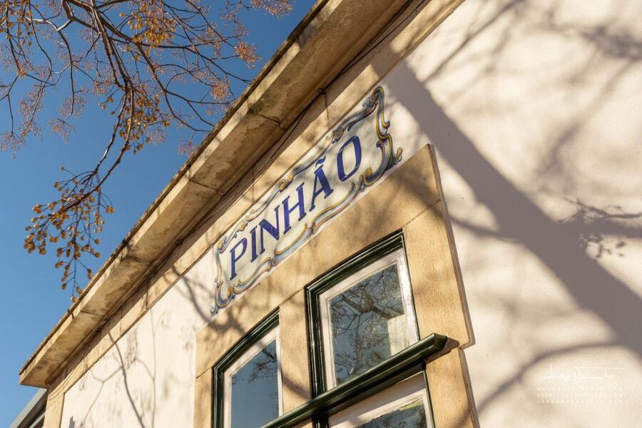 Douro Valley private tour & wine experience including lunch - Second winery and a closer look at Port