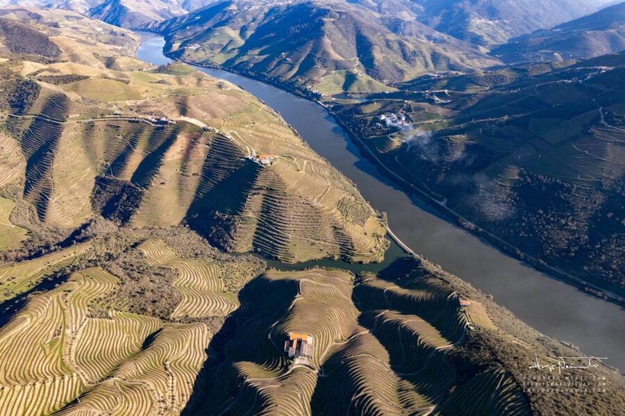 Douro Valley private tour & wine experience including lunch - From Porto to Amarante by Mercedes van