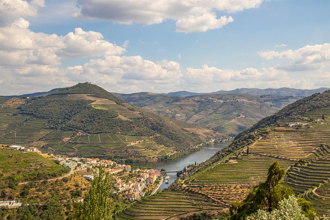 Douro Valley: private tour with lunch and wine estate all inclusive - Lunch with Douro wine