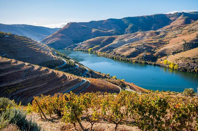 Douro Valley: private tour with lunch and wine estate all inclusive - Amarante and its Tâmega River setting