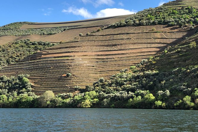 Douro Valley private wine tour | tastings and lunch included - Why the Douro Valley works best as a full-day outing