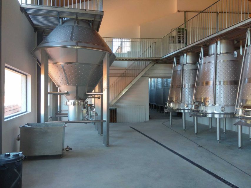 Douro Valley: Quinta de S. Luiz Winery Tour and Tasting - Key points to know before booking