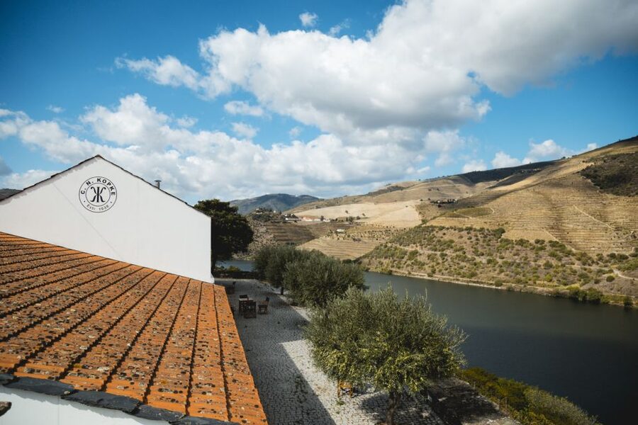 Douro Valley: Quinta de S. Luiz Winery Tour and Tasting - Who will enjoy this estate visit most?