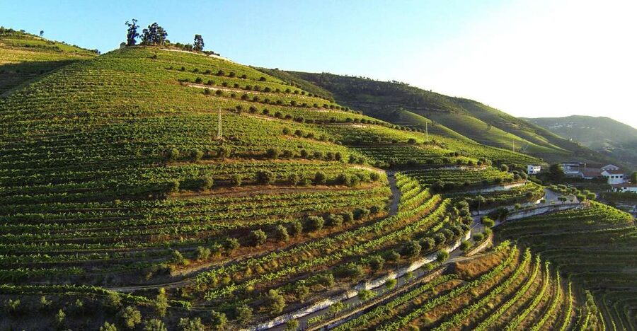 Douro Valley: Quinta de S. Luiz Winery Tour and Tasting - The Alambic house, chapel, and boutique winery