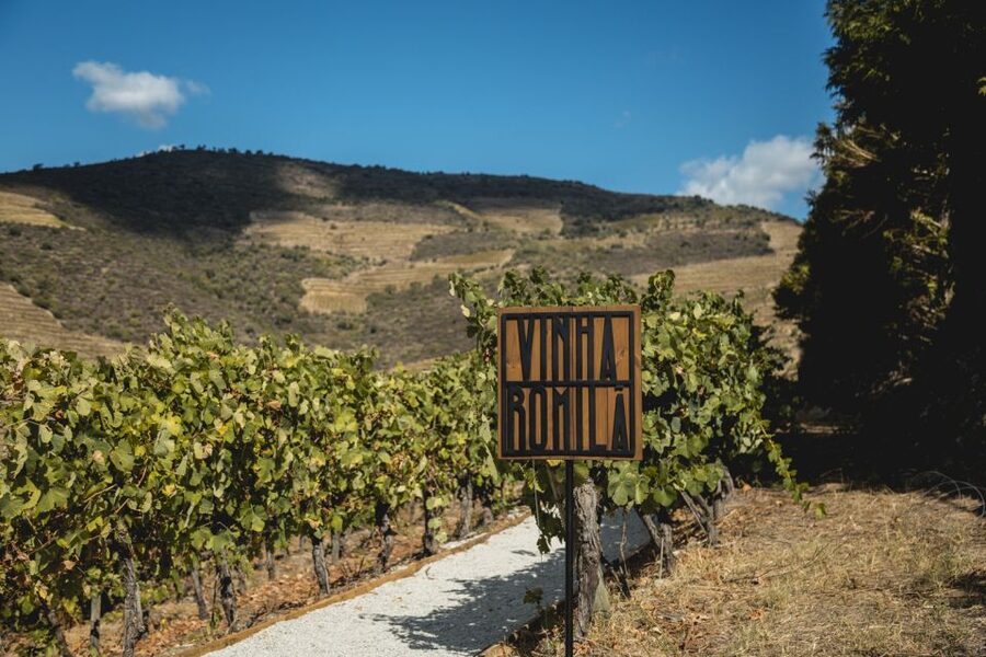 Douro Valley: Quinta de S. Luiz Winery Tour and Tasting - Understanding the Kopke connection
