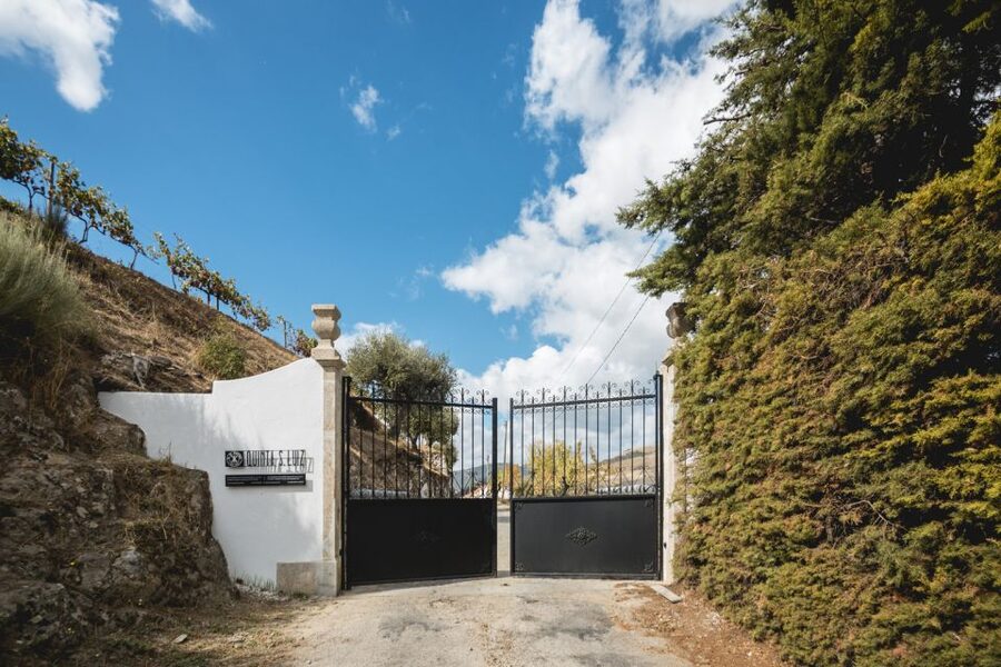 Douro Valley: Quinta de S. Luiz Winery Tour and Tasting - Terrace S. Luiz and the best view of the visit