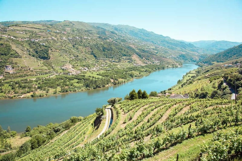 Douro Valley: Real Small-Group, Wine Tasting, Lunch & Boat - Key points to know before booking