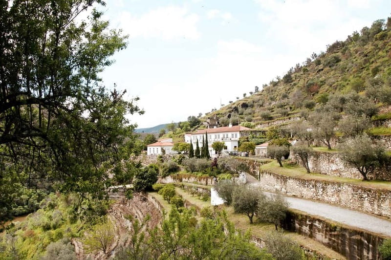 Douro Valley: Real Small-Group, Wine Tasting, Lunch & Boat - Practical details that affect your decision