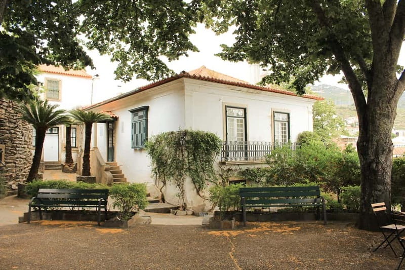 Douro Valley: Real Small-Group, Wine Tasting, Lunch & Boat - The return drive and the value of the scenery