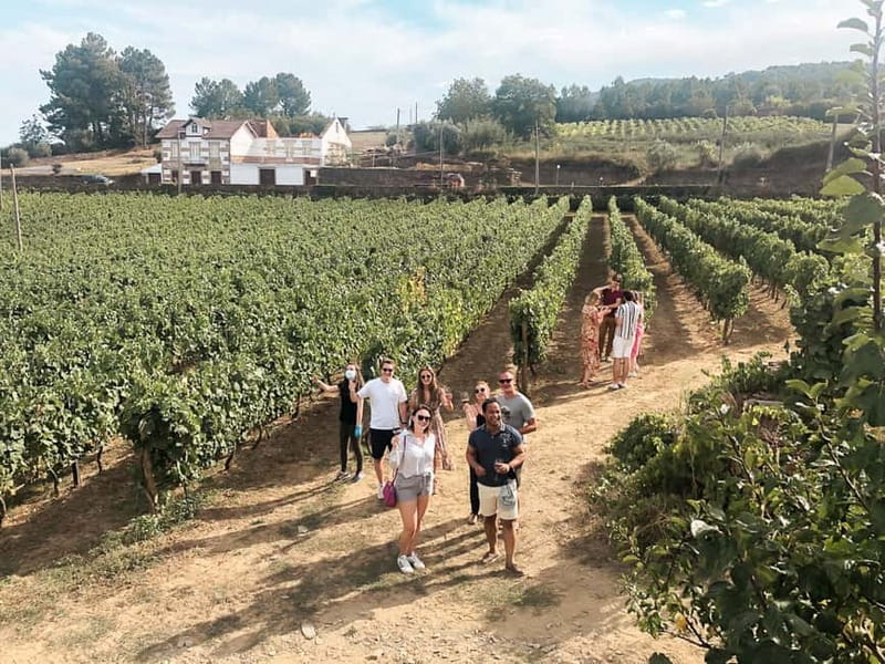 Douro Valley: Real Small-Group, Wine Tasting, Lunch & Boat - Leaving Porto in an 8-seat minivan