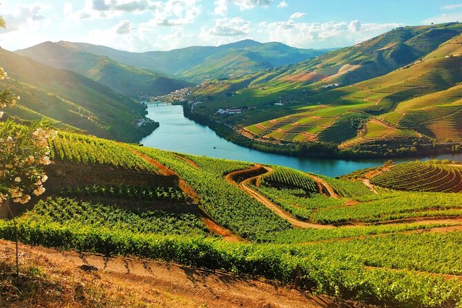 Douro Valley - Relaxed Departure from Porto - What This Douro Valley Day Trip Does Well